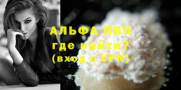 прущие грибы Краснослободск