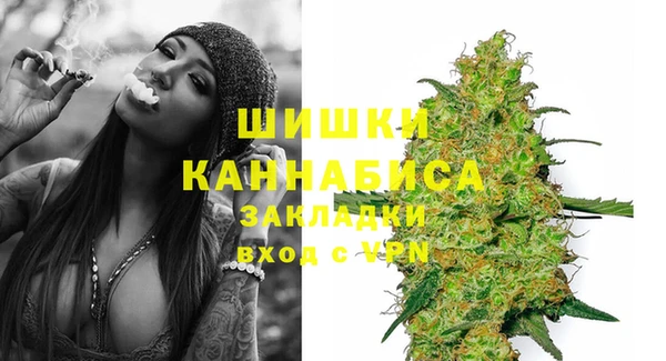 прущие грибы Краснослободск