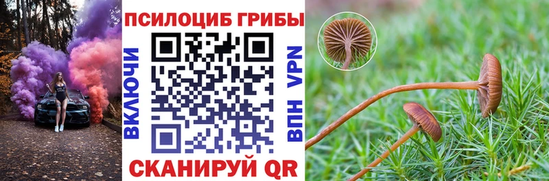 Купить закладки  Еманжелинск  Галлюциногенные грибы мицелий 